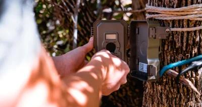 Trail cameras the death of hunting h1
