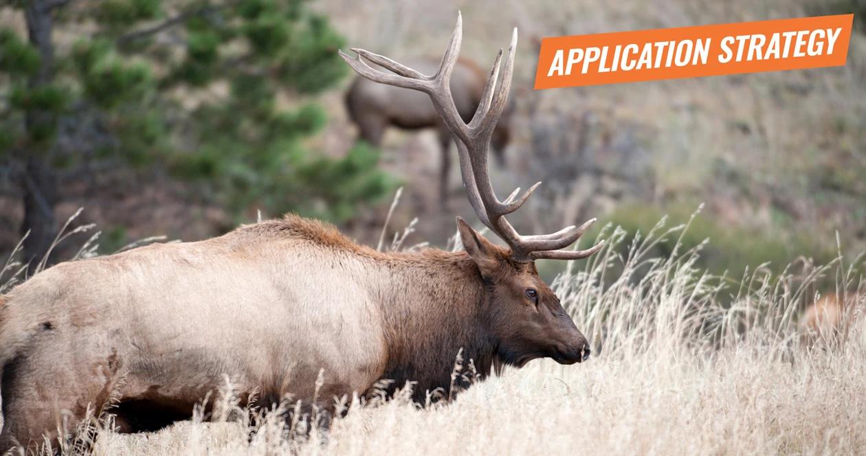 2018 arizona elk application strategy article 1