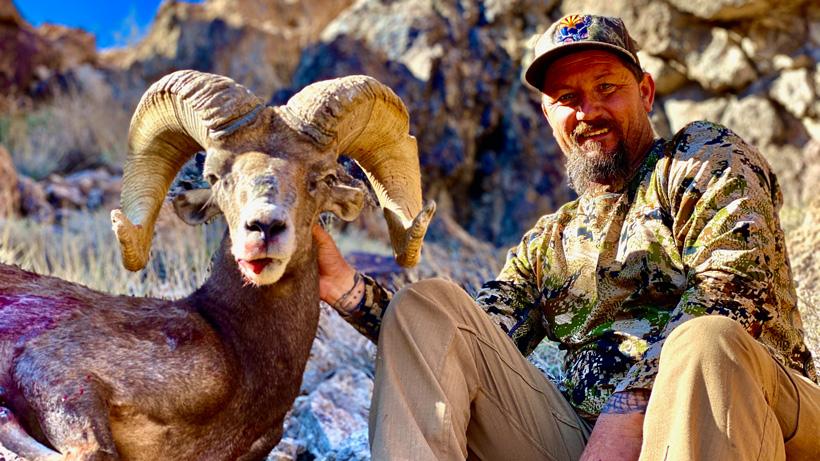 Dale parrish bighorn sheep