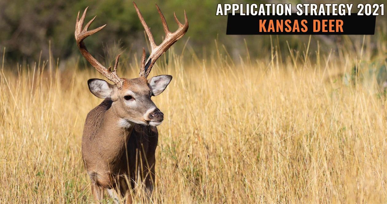 Kansas deer application strategy 2021 h1