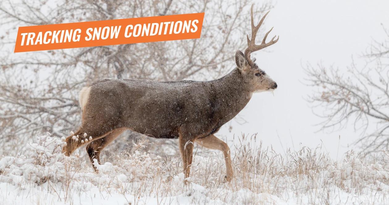 How to track mountain snow conditions before a hunt 1