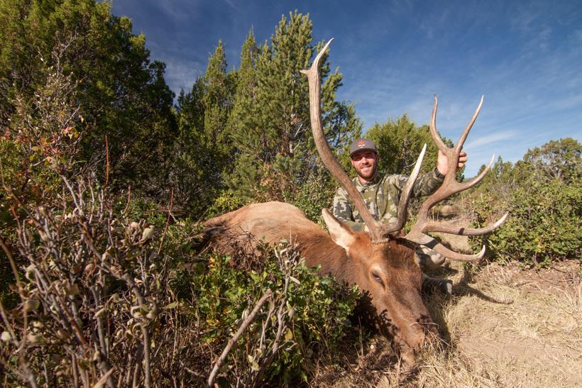 Lorenzo Sartini New Mexico archery bull elk