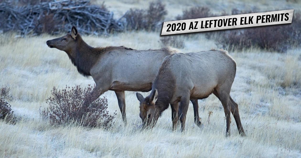 2020 leftover arizona elk permit list 1