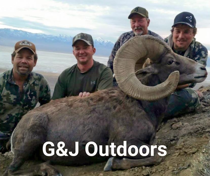 Giant nevada desert bighorn sheep taken with g and j outdoors