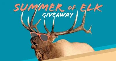 Summer of elk giveaway 1