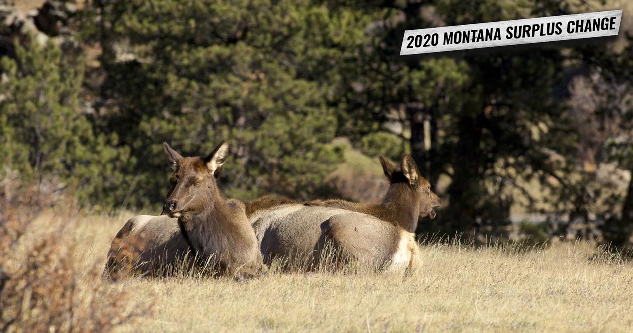 2020 montana surplus hunting license change 1