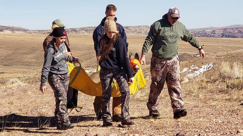 Boots on the ground helping mule deer