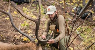 Over the counter archery elk hunting opportunities for 2023 1