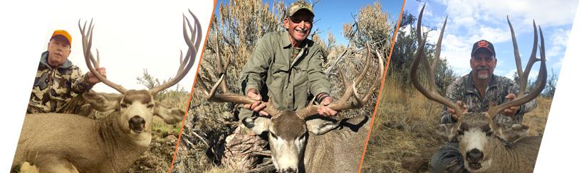 How to apply for Nevada’s 2017 mule deer guided draw - 4d