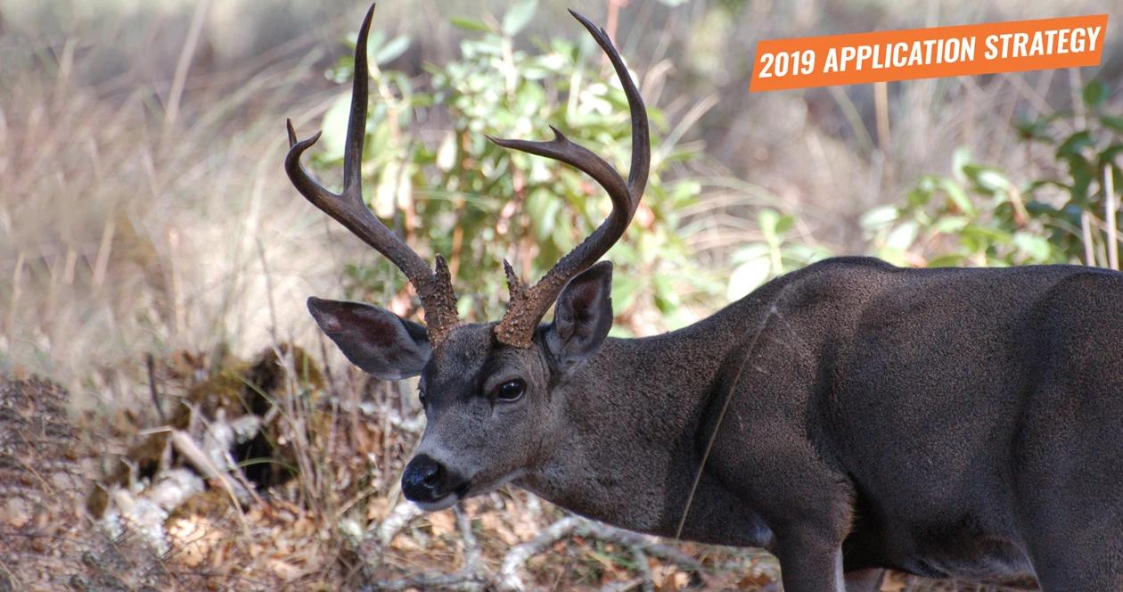 2019 oregon deer application strategy article 1