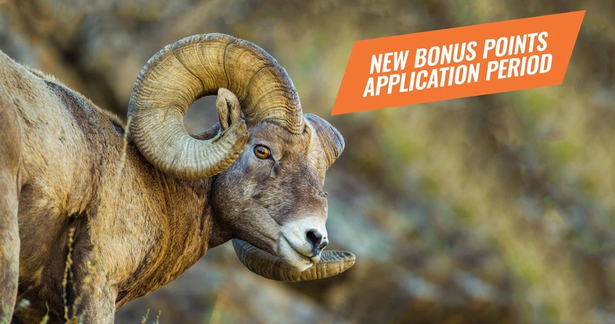 Montana 2017 bonus point application period 1