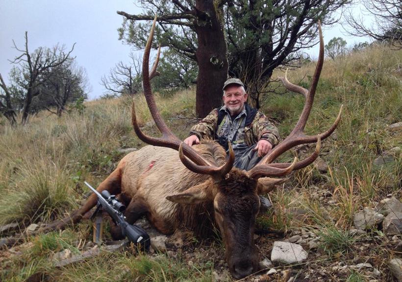 New mexico elk taken with brugmans outfitting service