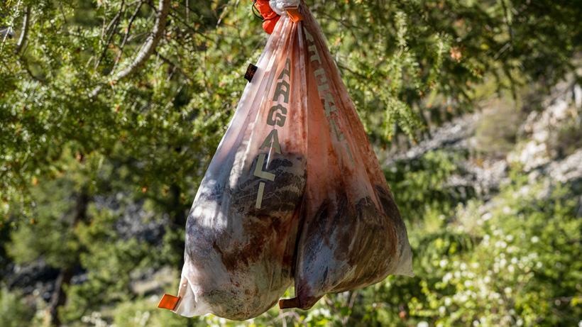 Deboned wild game meat in argali game bags 820