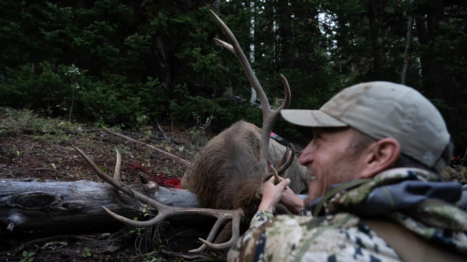 Trail Kreitzer soaking up the moment after taking a backcountry bull elk