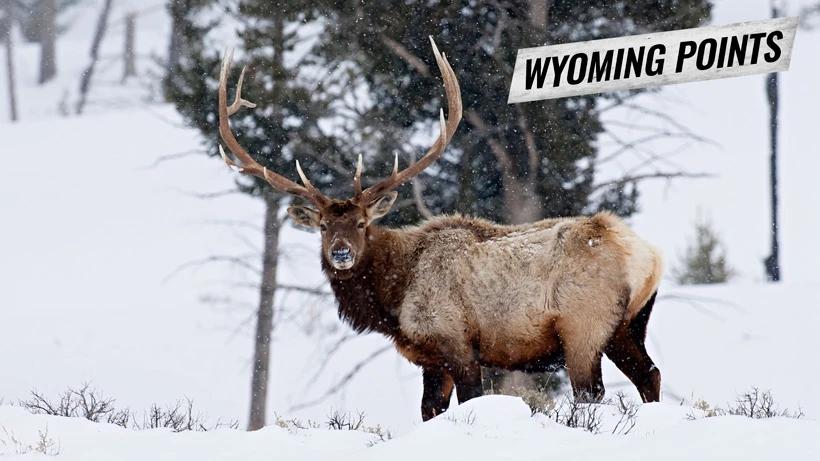 ALERT: Wyoming 2018 Preference Point Deadline Approaching