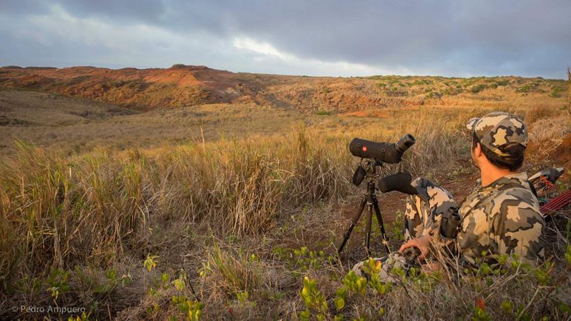 Hawaii hunting landscape