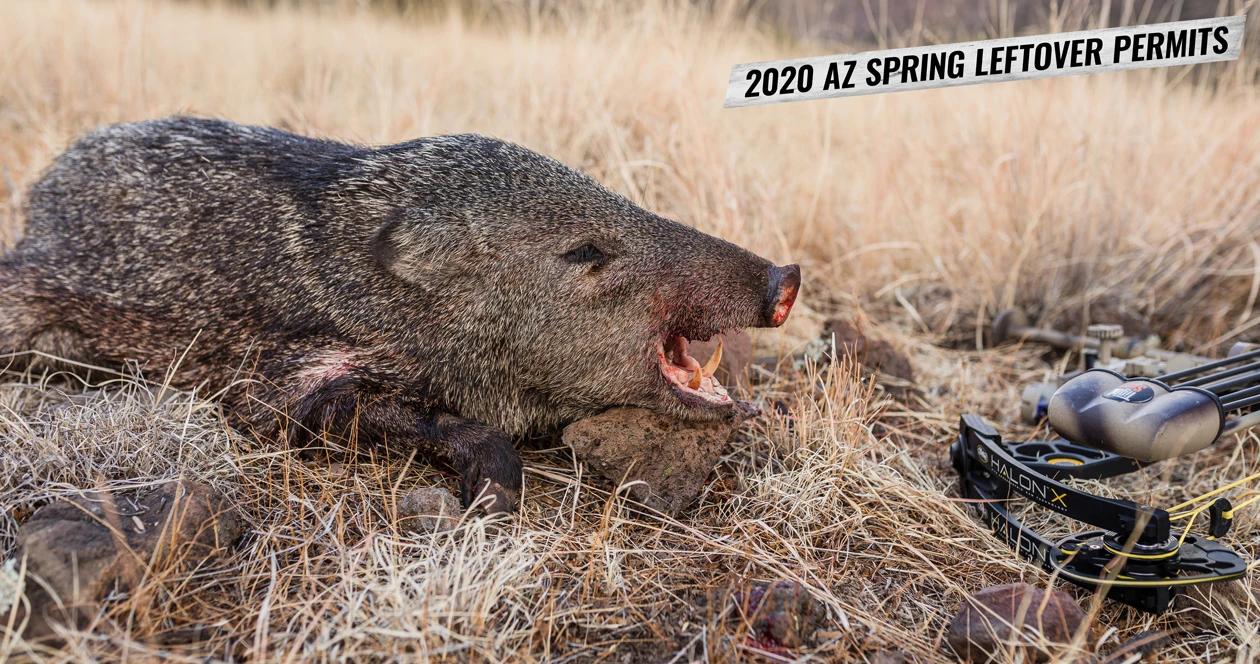 2020 arizona spring leftover hunting permits 1