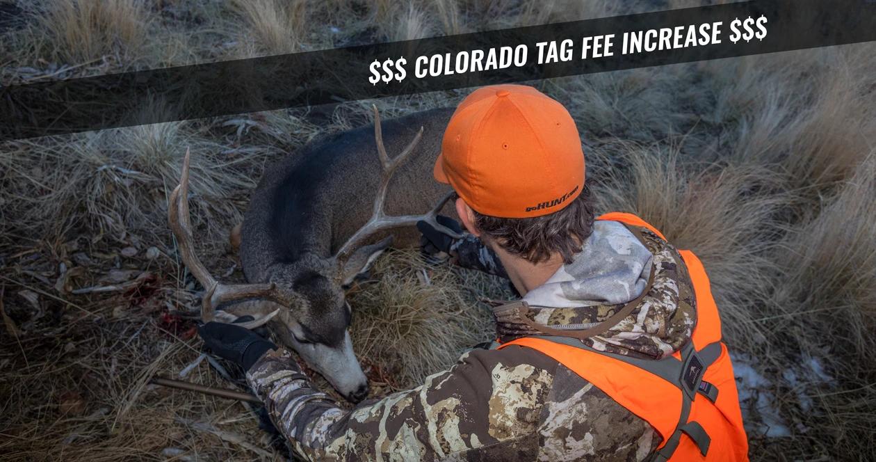 2019 colorado hunting fee changes 1