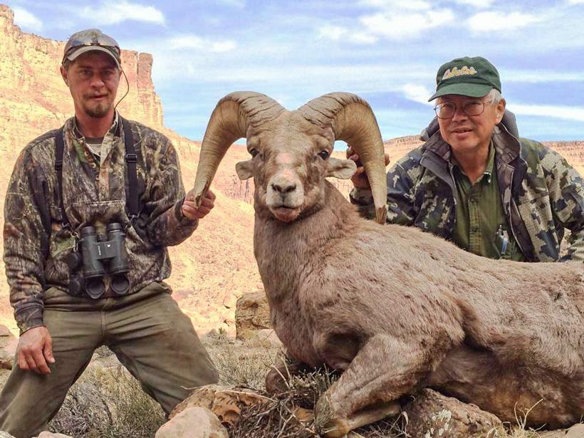 Colorado rocky bighorn sheep taken with roosters guide and outfitting adventures