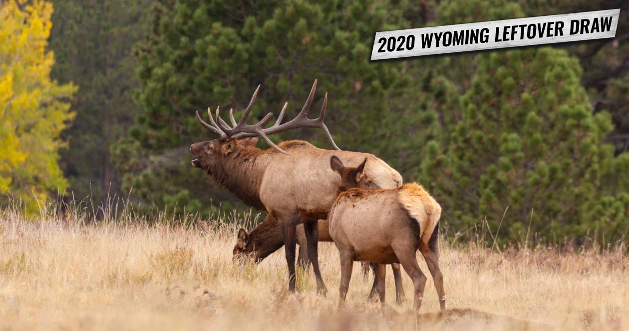 2020 wyoming leftover hunting tag list 1
