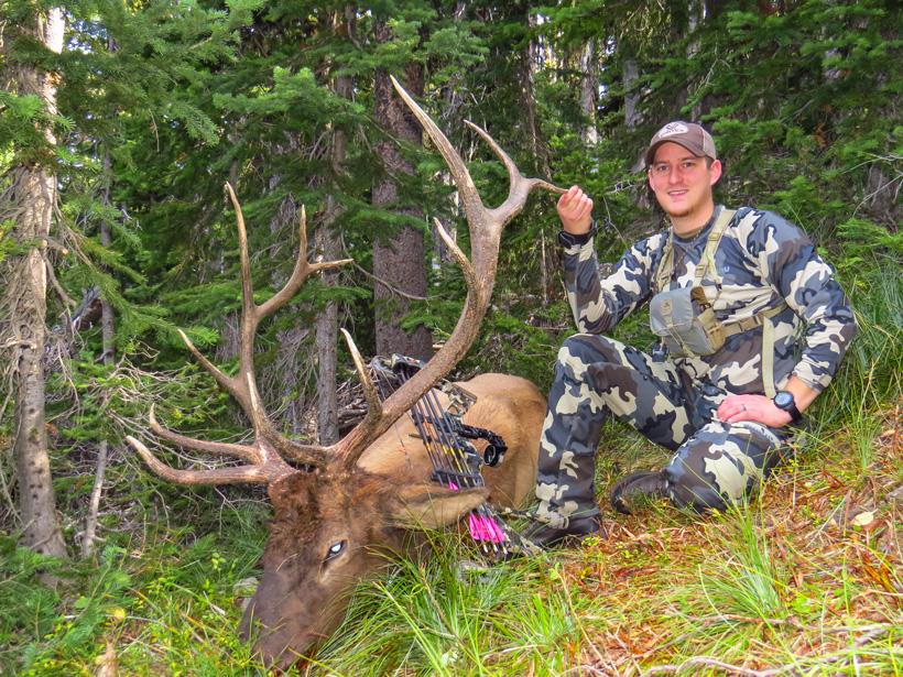 Dave barnett montana archery bull elk