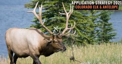 Colorado elk antelope app h1