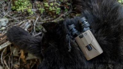 The key components of an effective spring bear glassing system — glassing with SIG SAUER ZULU6 binoculars for spring black bear