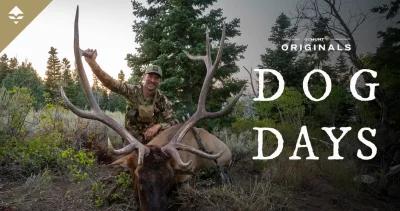 Dog days an elk hunters dream 1