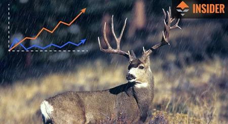 2015 colorado application strategy for deer elk and antelope 2_0