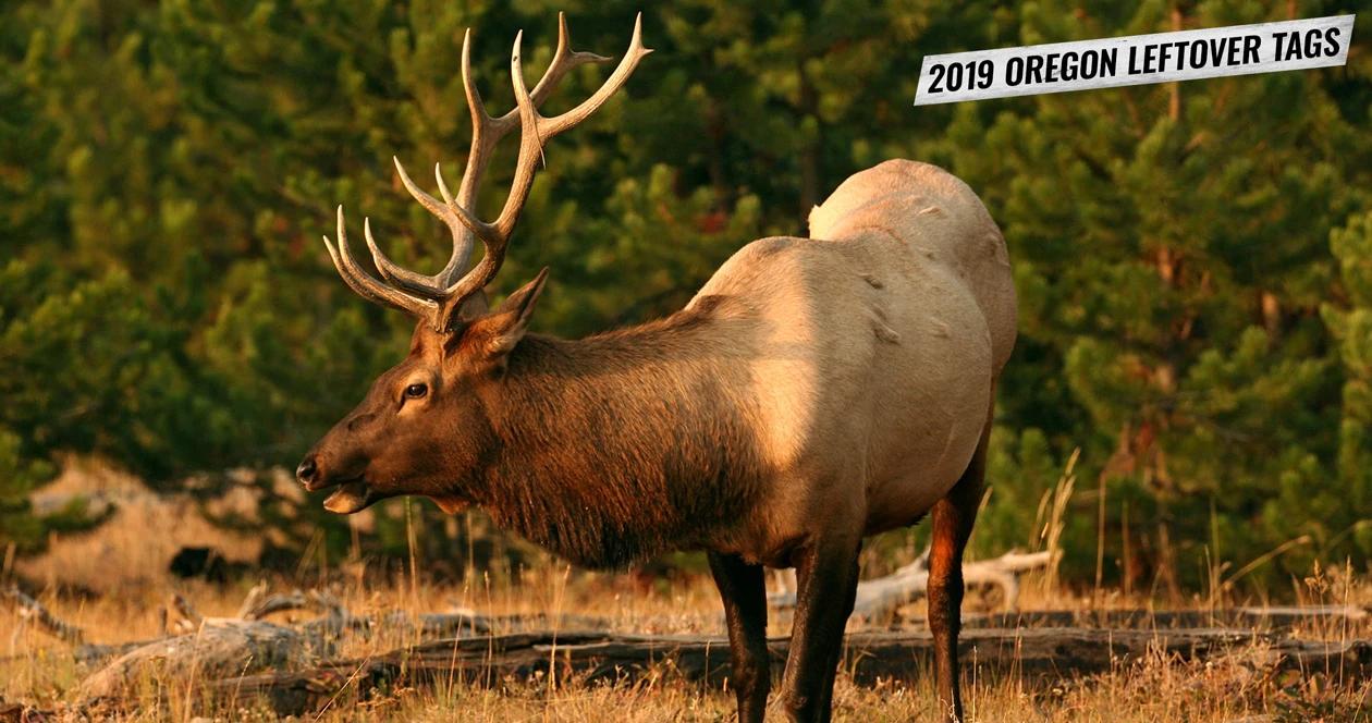 2019 oregon leftover hunting tag list 1