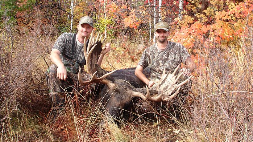 Utah moose taken with sportsmans hunting adventures