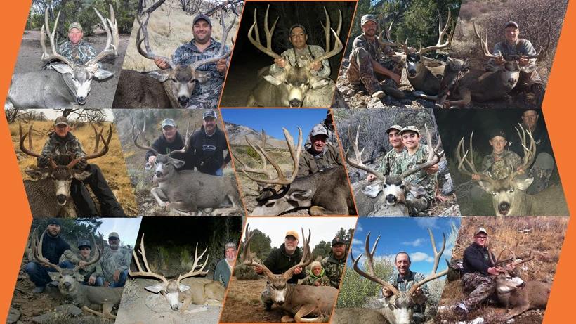 How to apply for Nevada’s 2018 mule deer guided draw