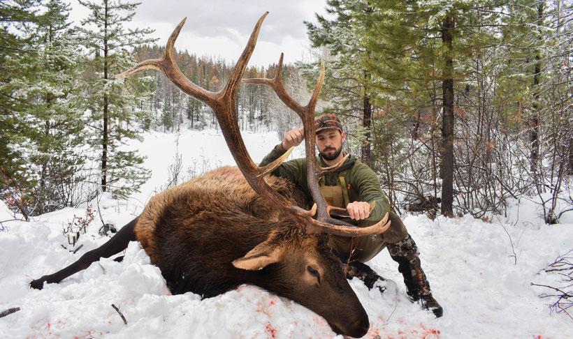 Rex with his 2017 general season montana elk
