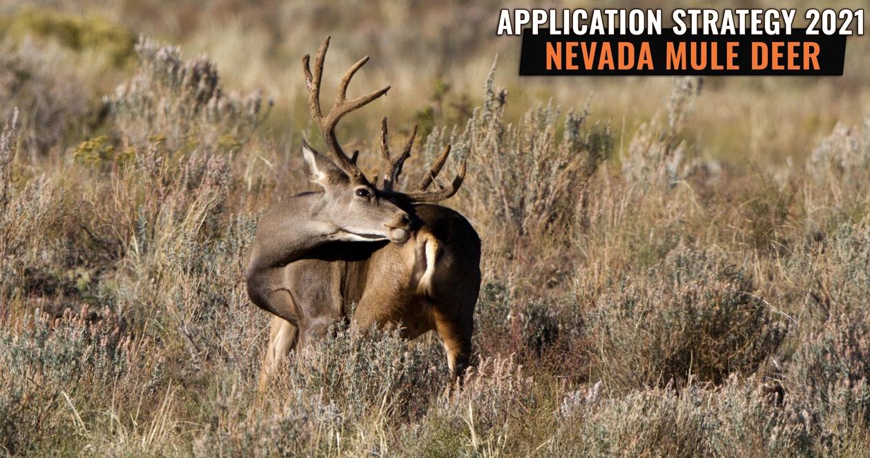 Nevada mule deer application strategy h1