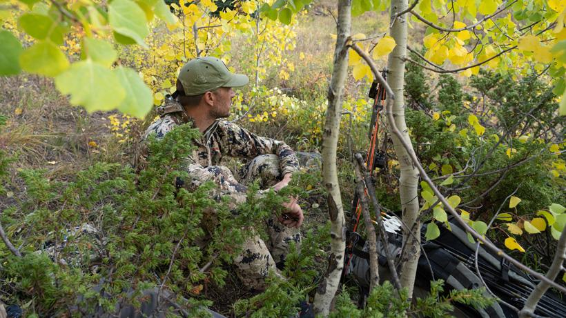 Waiting for elk near a wallow