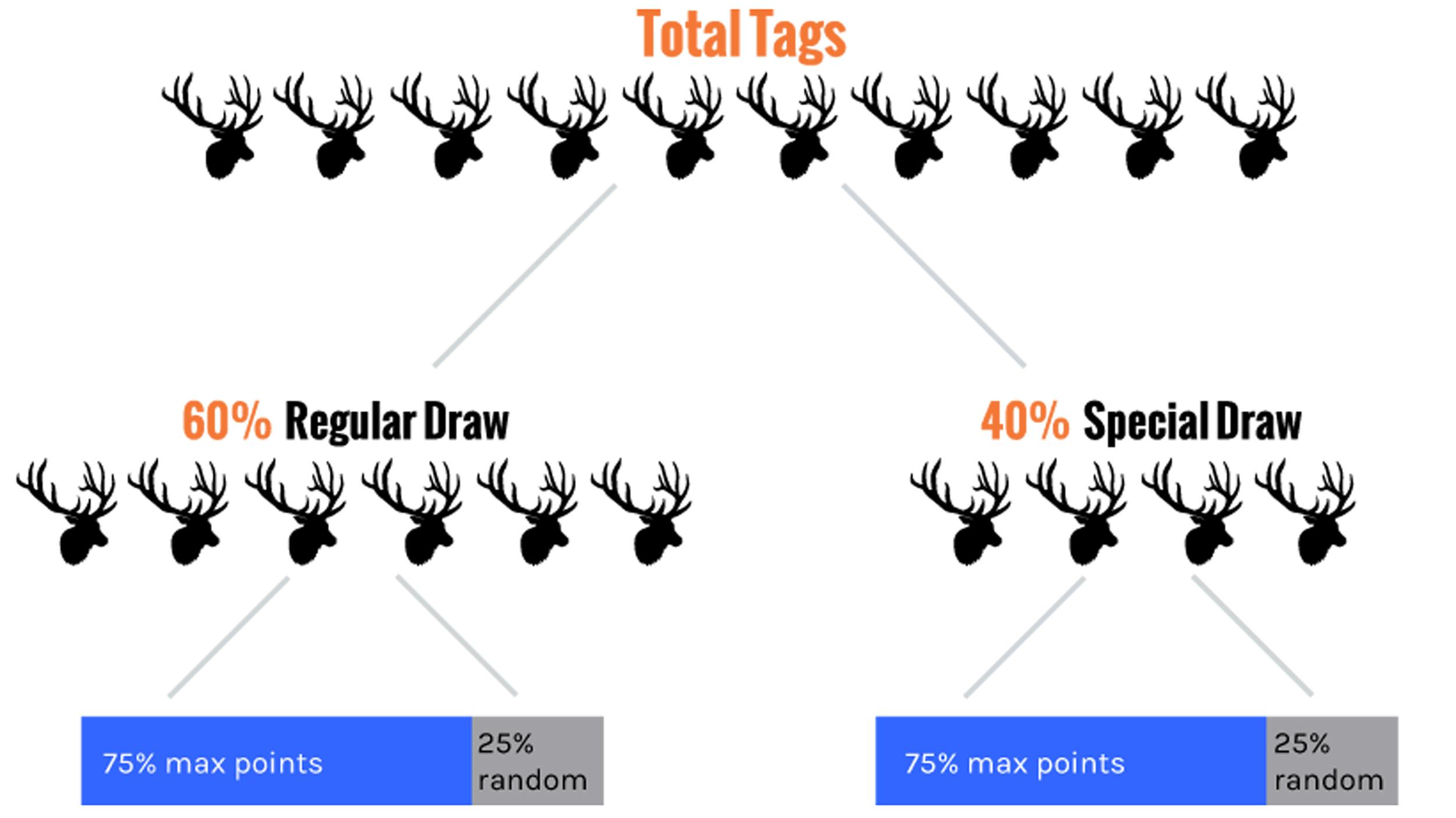 Example of how Wyoming nonresident hunting licenses are split for the regular draw and the special draw