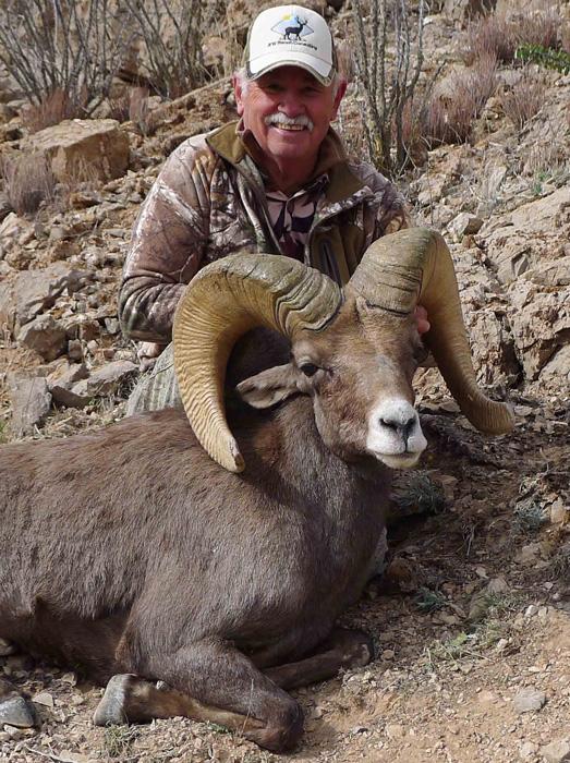 New mexico desert bighorn sheep taken with jfw ranch consulting 3