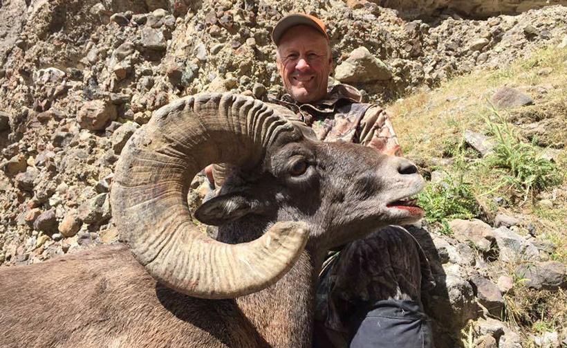 Bighorn sheep taken with shoshone lodge outfitters