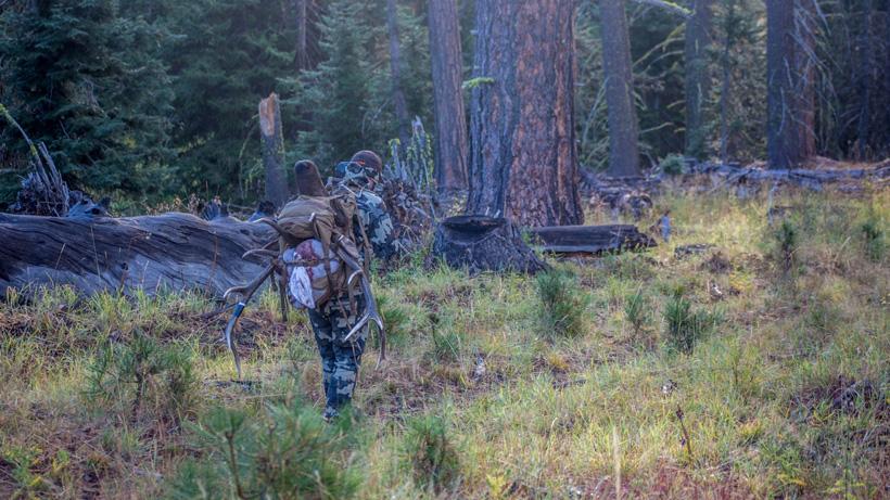 Jeff roberts packing out his 2016 washington archery bull elk