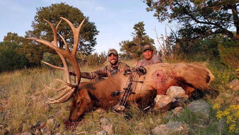 Archery bull elk taken with loh outfitters in new mexico