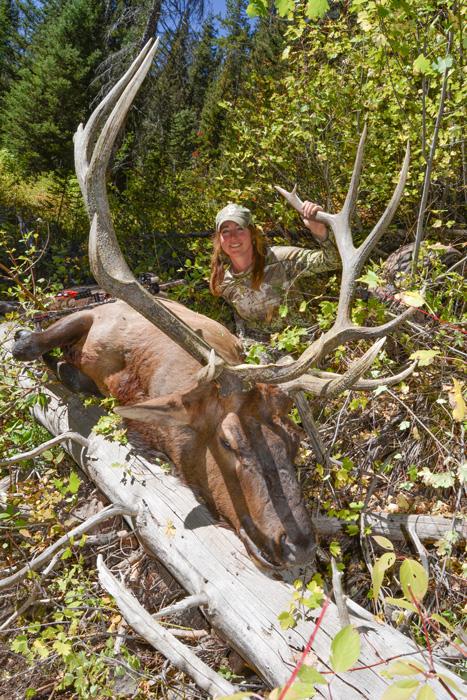 Kim mills with her 2016 idaho archery bull elk front view