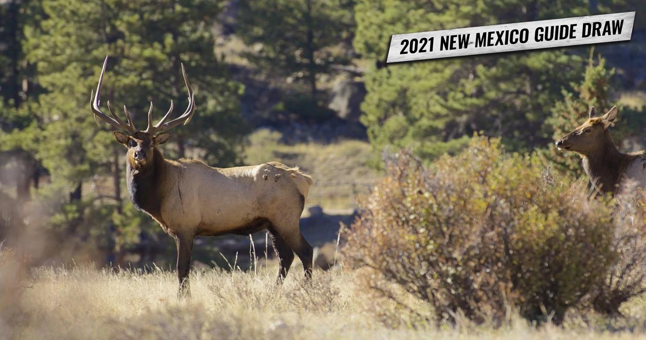 2021 new mexico guide draw 1