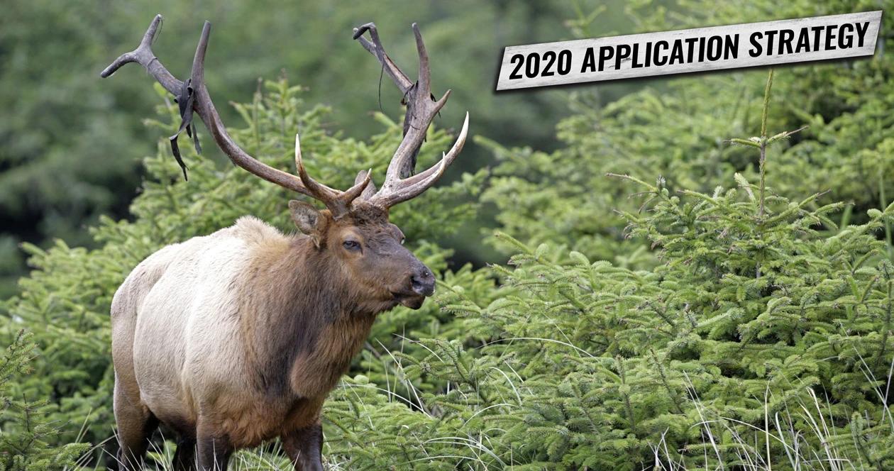 Oregon application strategy elk antelope h1