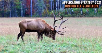 Oregon elk antelope application strategy h1