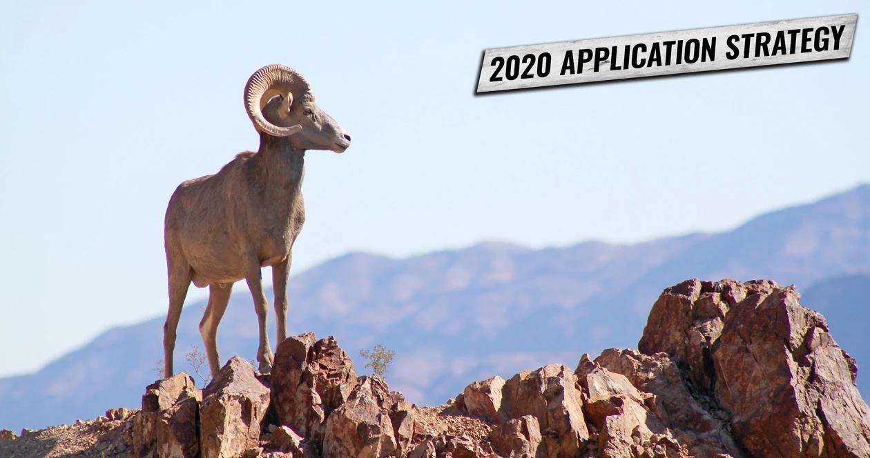 Nevada application strategy 2020 sheep h1