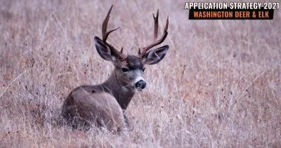Washington deer elk application strategy h1_0