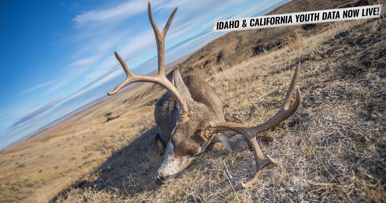 Idaho and california youth hunting research data now live on insider 1