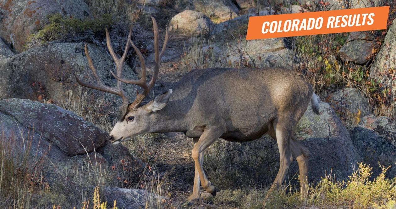 2018 colorado deer and antelope results 1