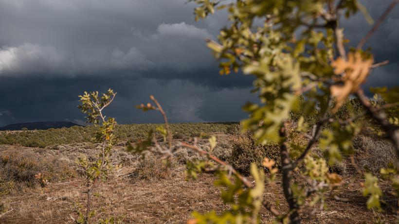 Locating fall mule deer hunting terrain