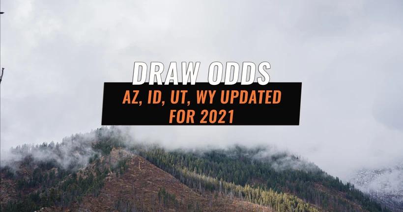 Gohunt draw odds state update 1